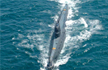 Partly Because of China, India Focuses on Submarine Crisis